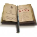 Magic Wand TV Remote Control 