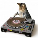 Cat Scratchin Dj Deck